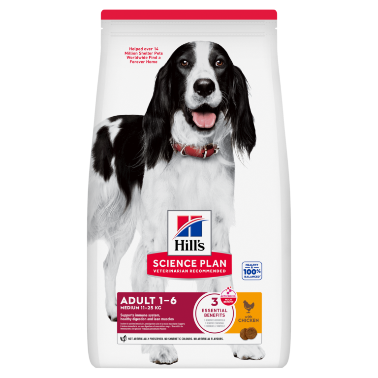 Croquettes Hill’s chien : notre avis sur Science Plan Adult Medium