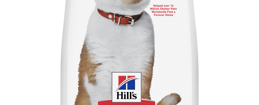 Croquettes Hill’s chat : notre avis sur Science Plan Sterilised
