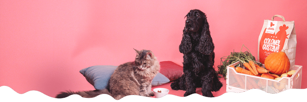 Croquettes Colonel Gustave pour chien et chat fabriquées en Belgique