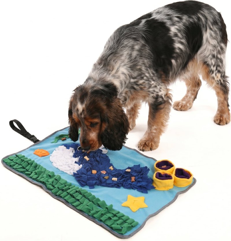Tapis de fouille WallyFouille Zolia utilisé par un chien