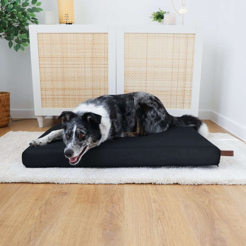 Matelas orthopédique à mémoire de forme Zolia Romeo pour chien