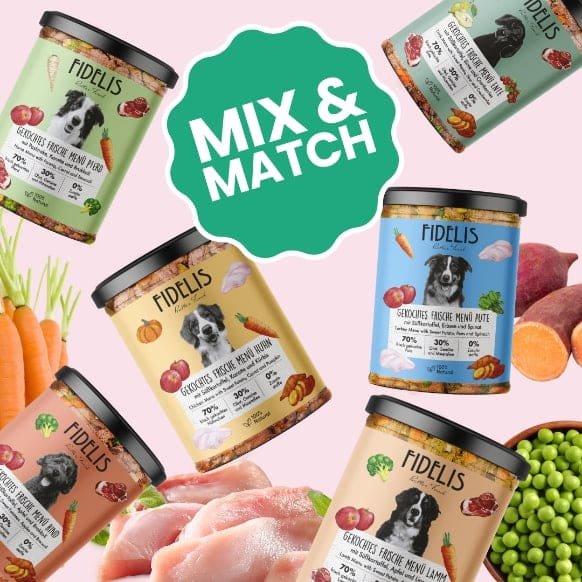 Offre Mix & Match Fidelis : bocaux de menus frais pour chien à combiner