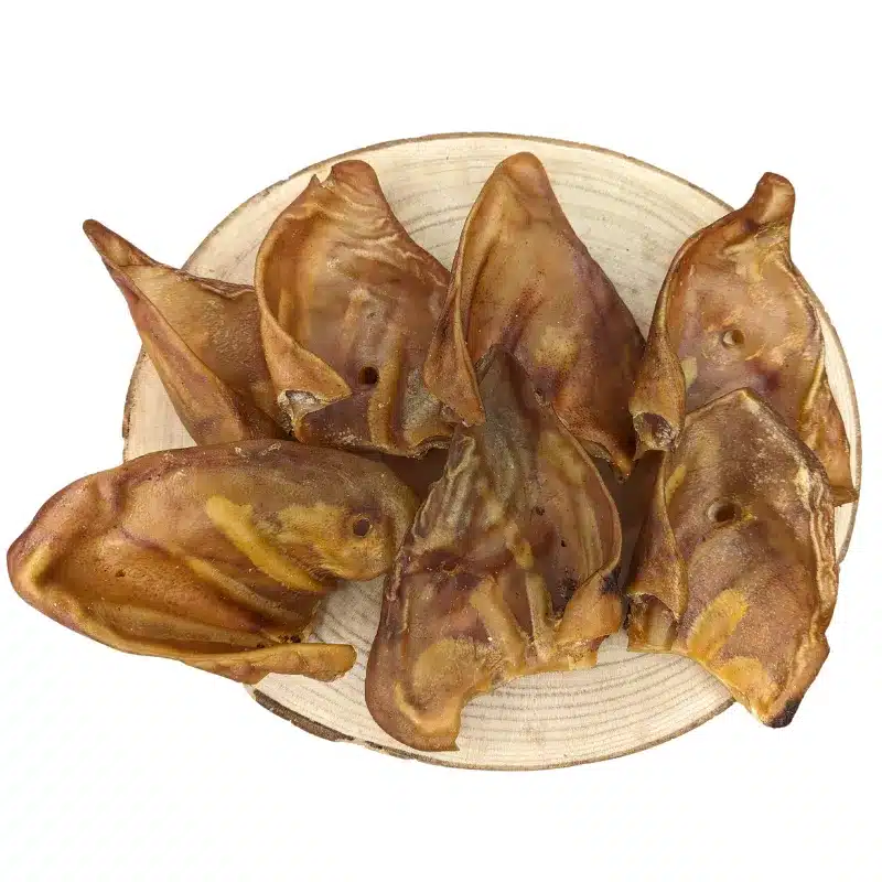 Oreilles de cochon séchées Cani-gourmand pour la mastication du chien