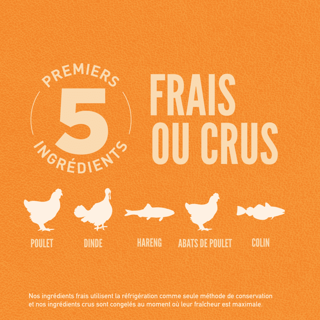 Visuel officiel Orijen Original Cat : les 5 premiers ingrédients frais ou crus