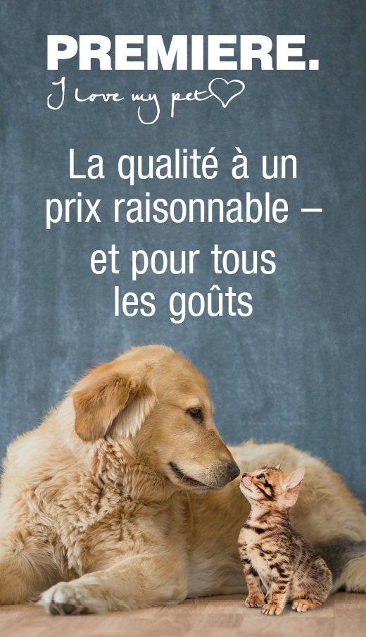 Visuel officiel Premiere : un chien et un chaton, la qualité à un prix raisonnable