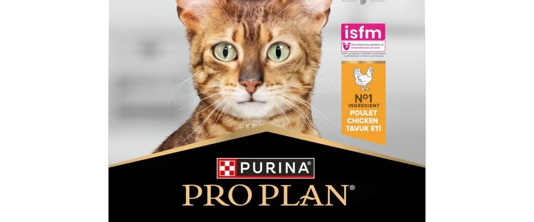 Croquettes Pro Plan chat : notre avis sur Adult Renal Plus