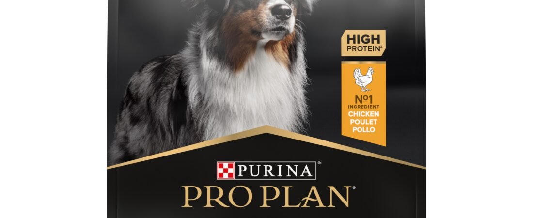 Avis Pro Plan : notre analyse des croquettes Medium Adult 🧪