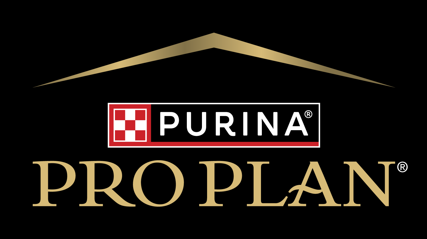Logo Pro Plan
