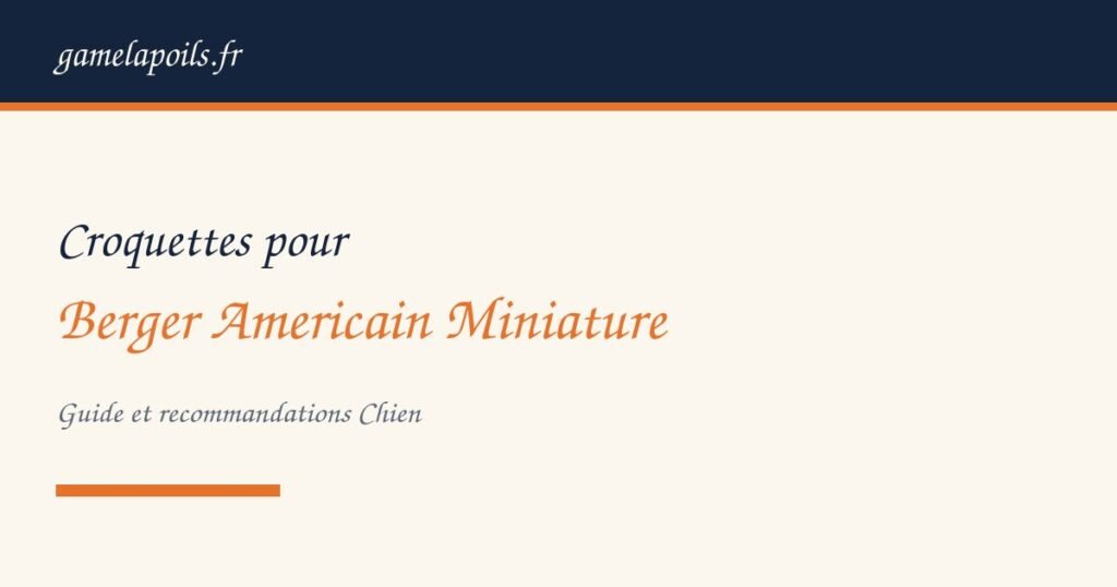 Berger americain miniature chien adulte