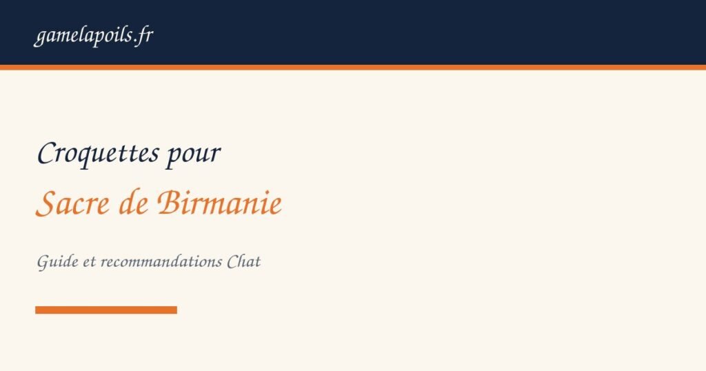 Sacre de birmanie chat adulte