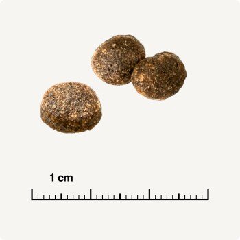 Taille reelle des croquettes Real Nature Wilderness Pure Chicken pour chat avec regle en centimetres