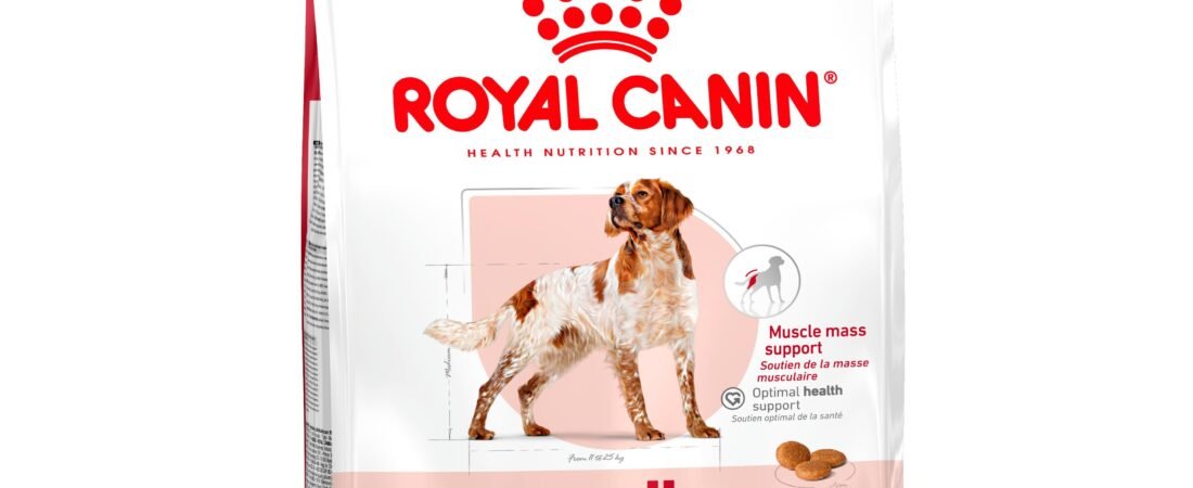 Avis Royal Canin : notre analyse des croquettes Medium Adult 🧪