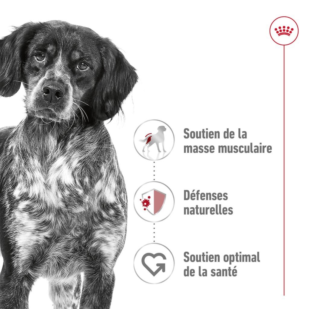 Royal Canin Medium Adult : détail du produit