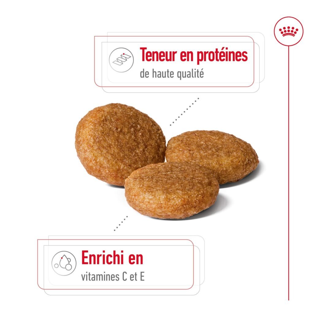 Royal Canin Medium Adult : forme et taille de croquette adaptée