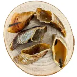 Sabot de veau friandise de mastication naturelle Cani-gourmand