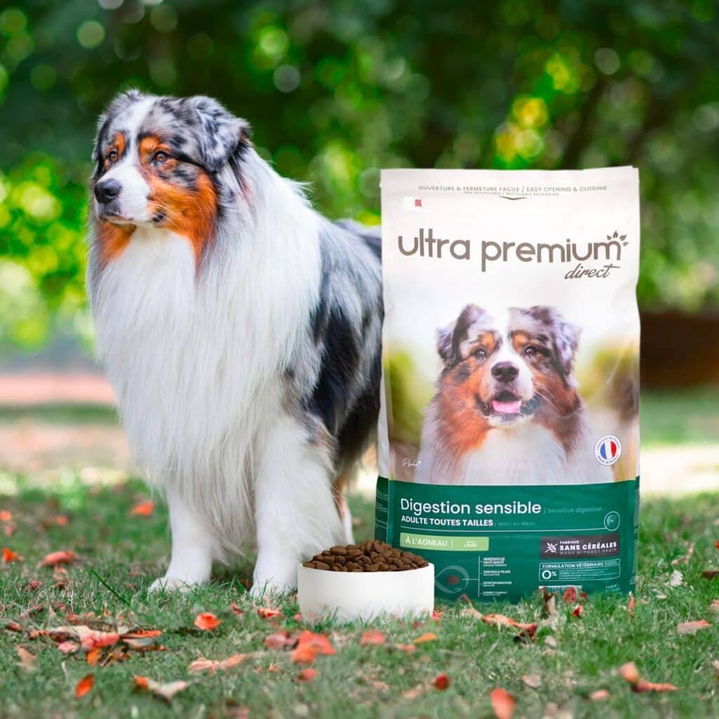 Berger australien à cÎté d'un sac de croquettes Ultra Premium Direct Digestion Sensible sans céréales
