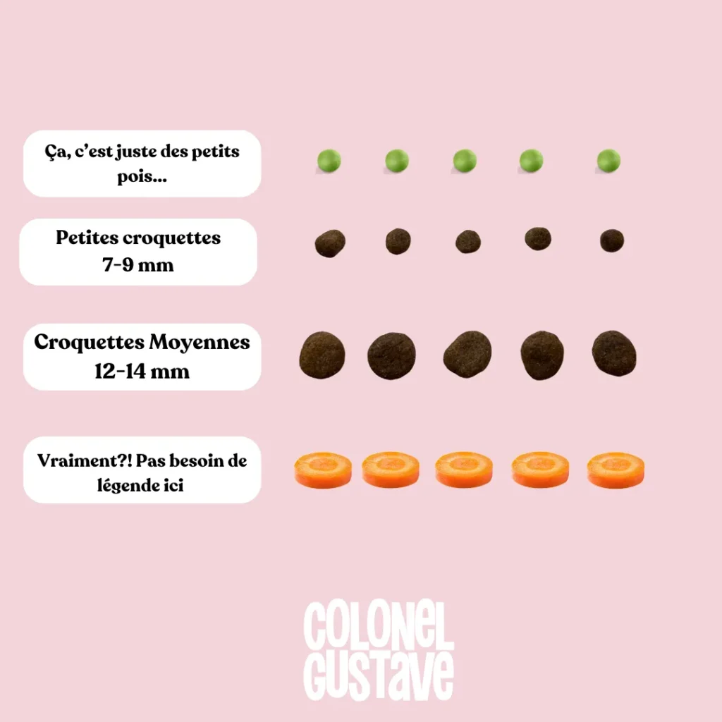 Tailles des croquettes Colonel Gustave : petites 7 à 9 mm et moyennes 12 à 14 mm