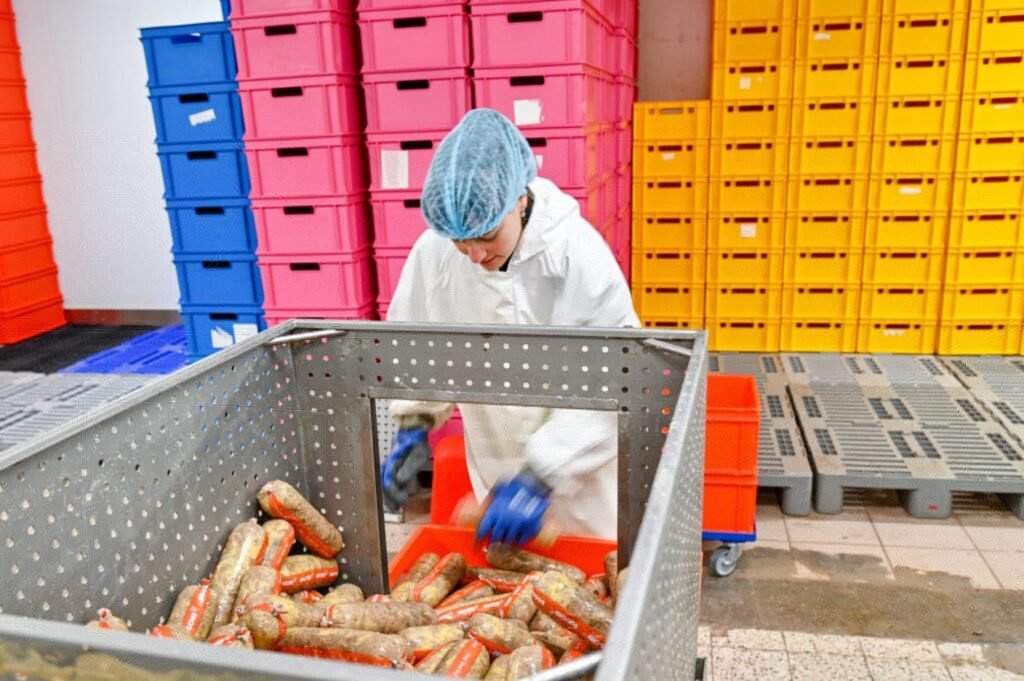 Préparation des repas frais Dog Chef dans leur cuisine en Belgique