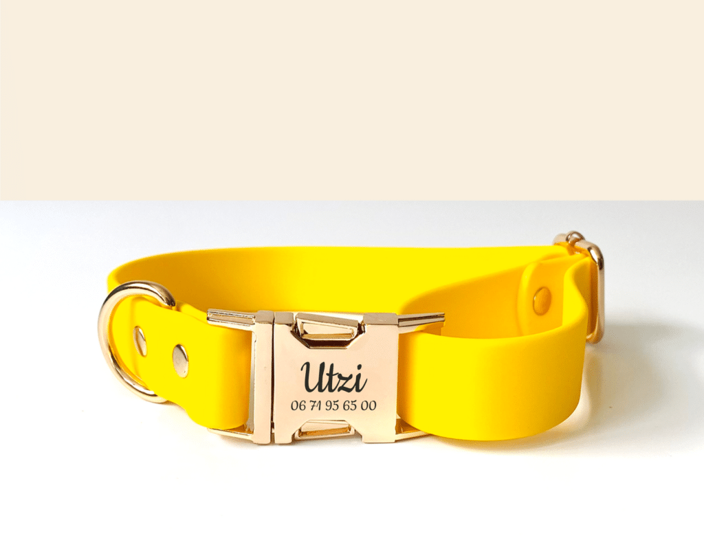 Collier Bande de Canailles en Biothane jaune, matiÚre imperméable