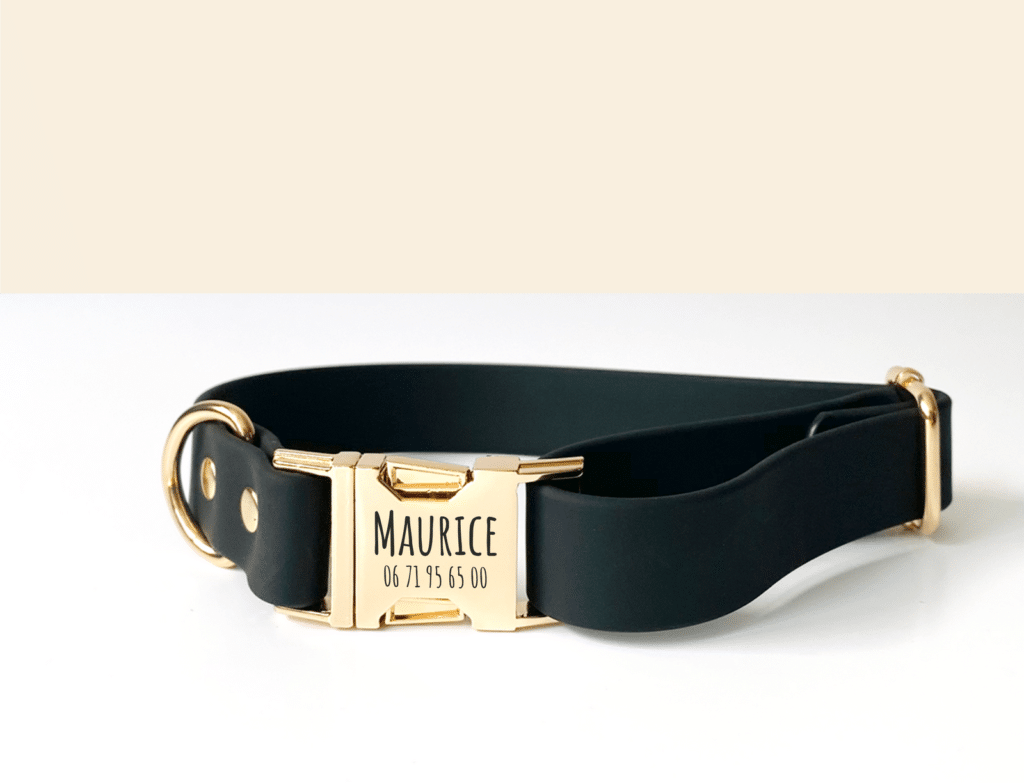 Collier Bande de Canailles en Biothane noir avec boucle gravée
