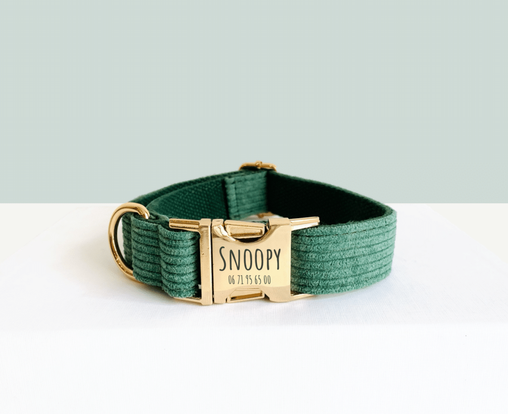 Collier personnalisé Bande de Canailles en velours cÎtelé vert gravé au prénom Snoopy