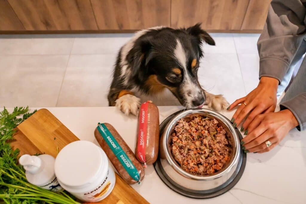 Chien devant une gamelle de repas frais Dog Chef avec boudins et OmegaMix