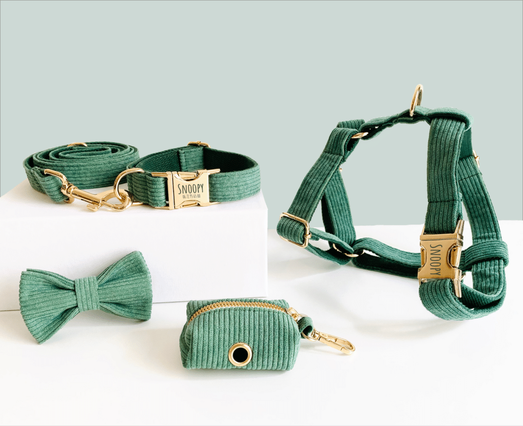 Kit complet Bande de Canailles en velours cÎtelé vert : collier, harnais, laisse, noeud et pochette