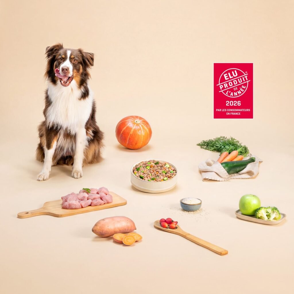 Repas frais Dog Chef et ingrédients naturels, élus Produit de l'Année 2026