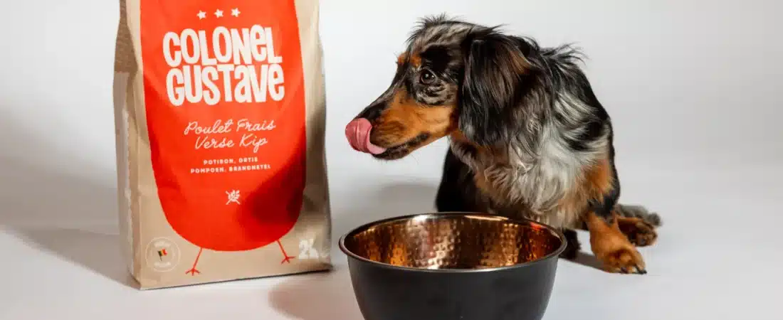 Avis croquettes Colonel Gustave : mon analyse des recettes belges