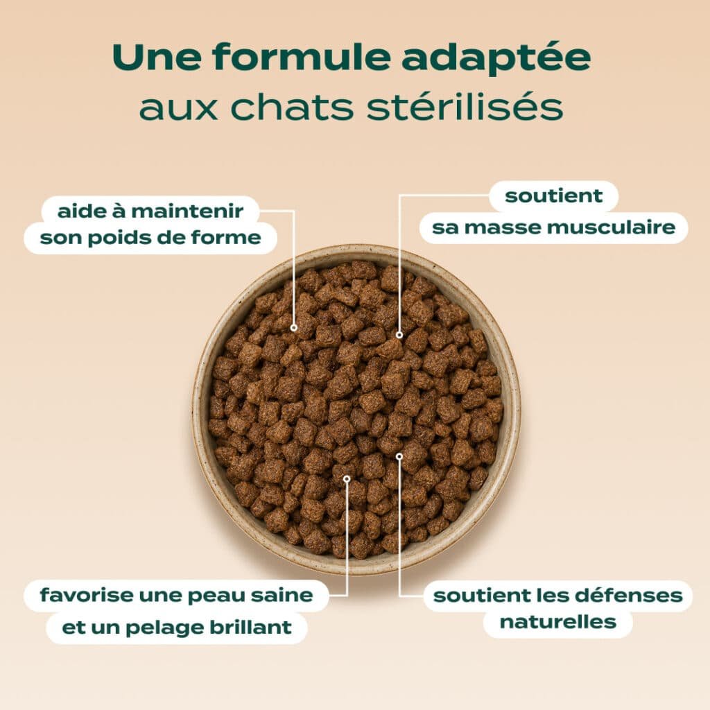 Tableau des rations quotidiennes recommandées pour un chat stérilisé selon son poids