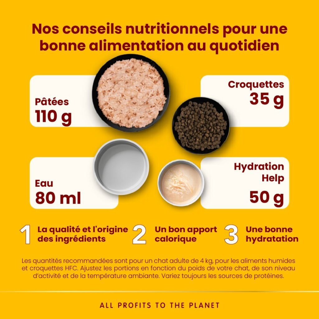 Conseils Almo Nature pour la ration du chat : pùtée, croquettes et eau
