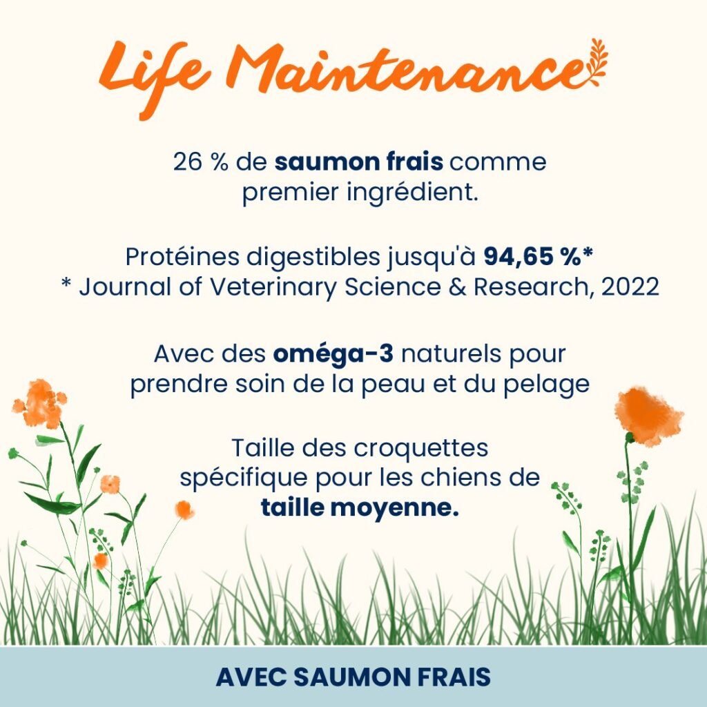 Visuel Almo Nature Holistic : 26 % de saumon frais et oméga-3