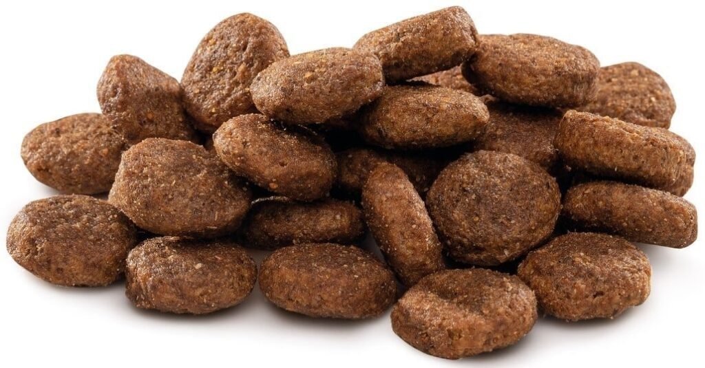 Croquettes Brit Premium by Nature Adult L pour grand chien