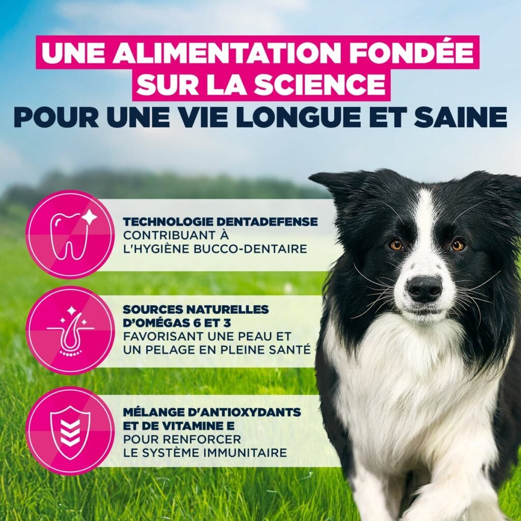 Visuel Eukanuba : oméga 3 et 6, technologie DentaDefense et antioxydants