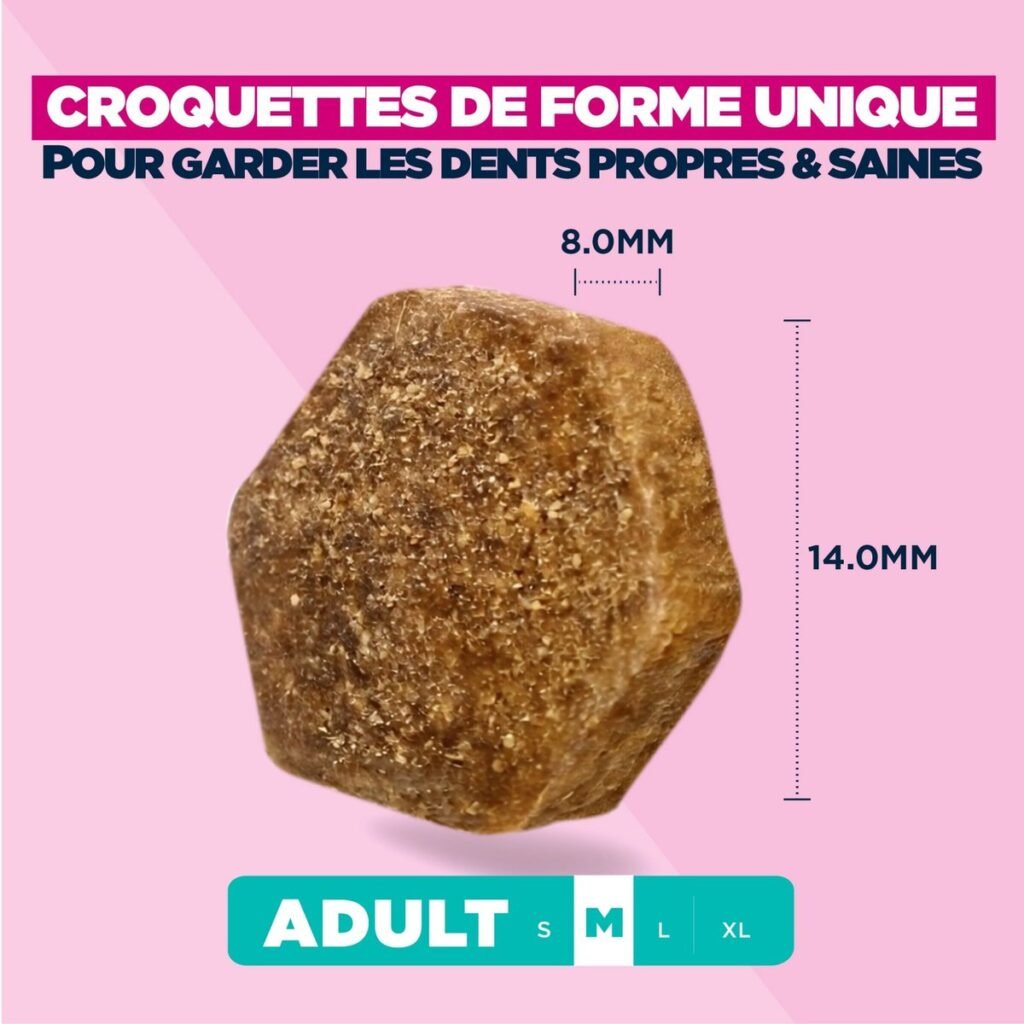 Taille de la croquette Eukanuba Adult Medium Breed : 14 mm