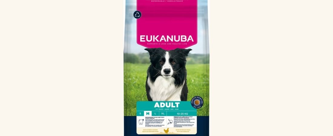 Croquettes Eukanuba : notre avis sur Adult Medium, Large Breed et chat
