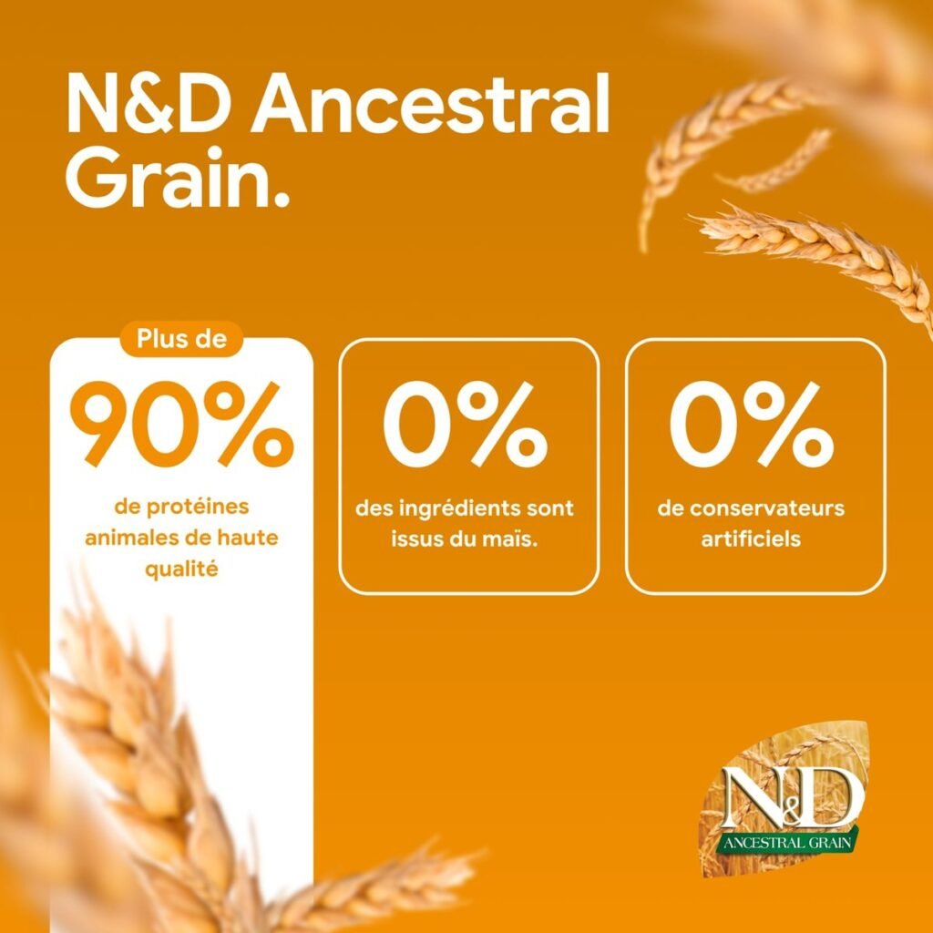 Visuel Farmina N&D Ancestral Grain : plus de 90 % de protéines animales, 0 % de maïs, 0 % de conservateurs artificiels