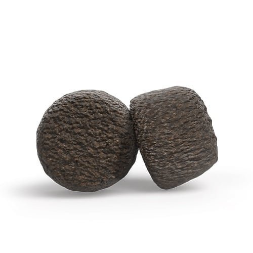 Croquettes Josera High Protein en gros plan