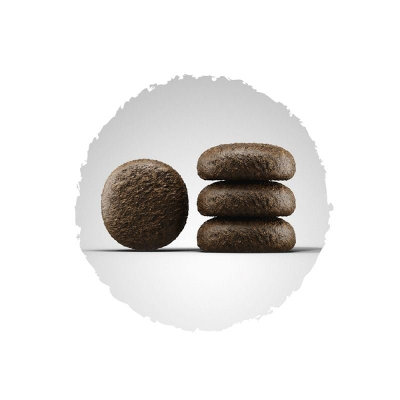 Croquettes Josera Festival en gros plan