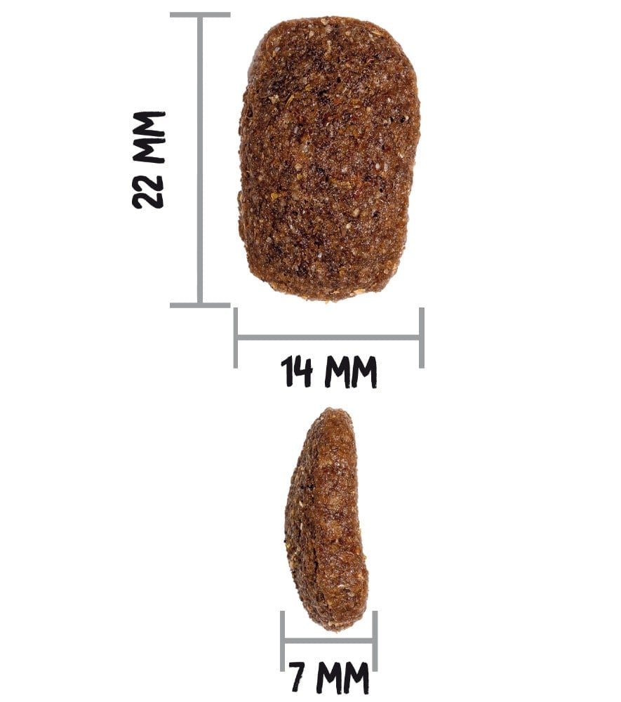 Taille des croquettes Ownat Classic Complet pour chien : 22 mm de long, 14 mm de large, 7 mm d'épaisseur
