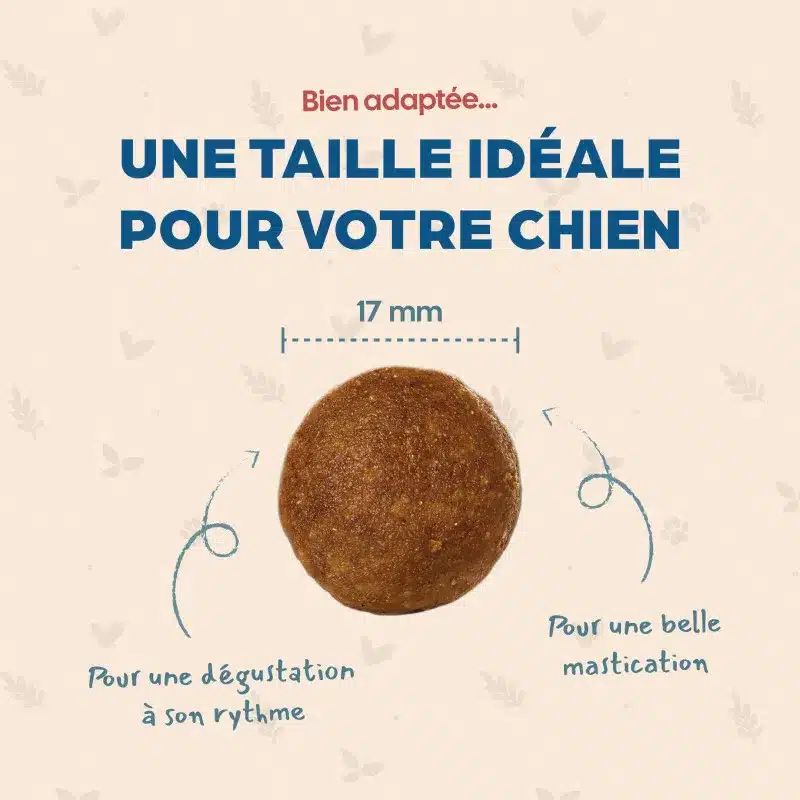 Taille de la croquette Babâin Medium Adulte au poulet : 17 mm