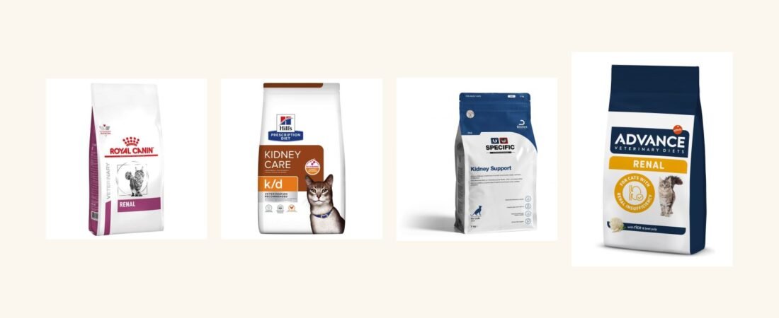 Meilleures croquettes pour chat insuffisant rénal : notre comparatif