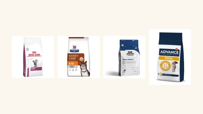 Meilleures croquettes pour chat insuffisant rénal : notre comparatif