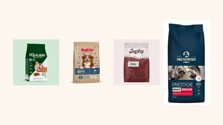 Meilleures croquettes françaises pour chien : notre classement