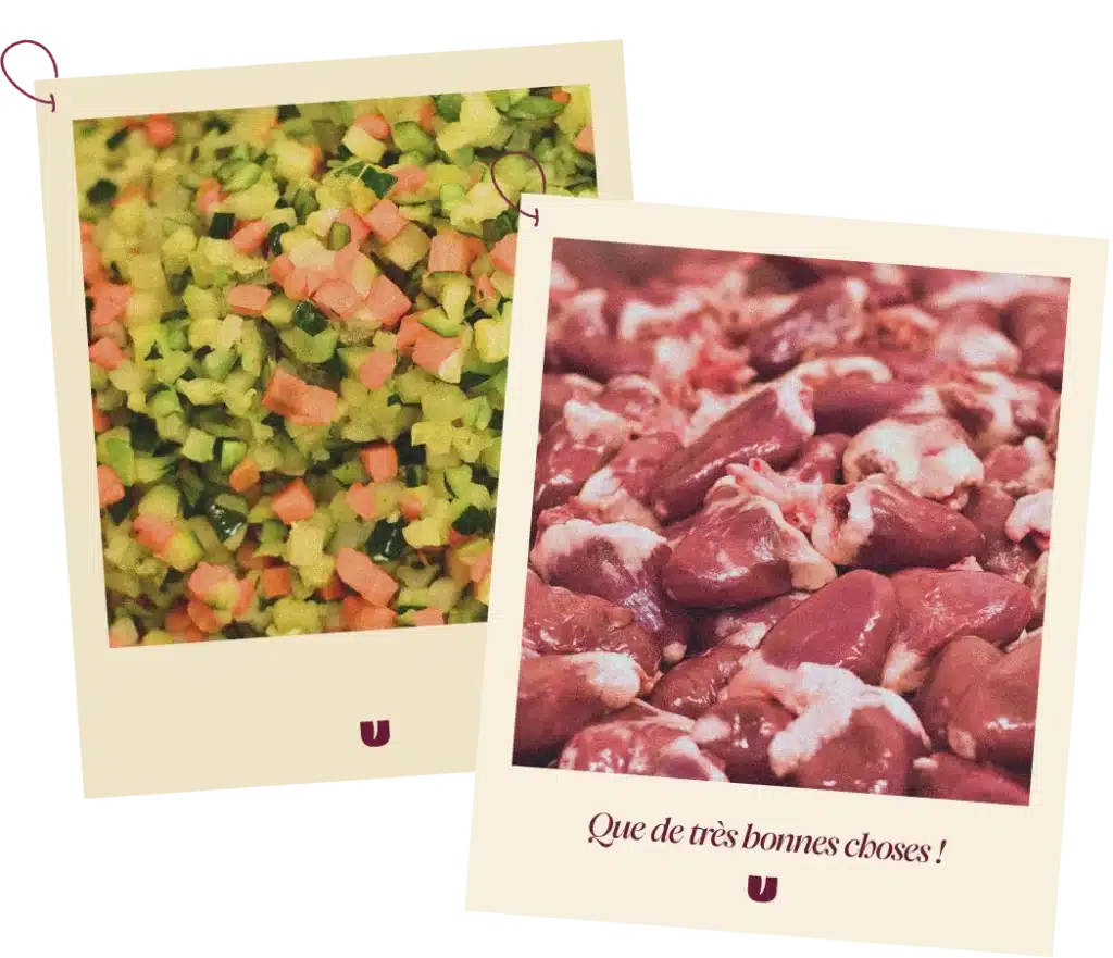 Légumes coupés et abats crus avant cuisson dans la cuisine Elmut