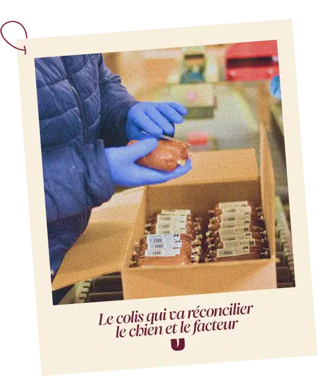 Préparation d'un colis isotherme de repas frais Elmut