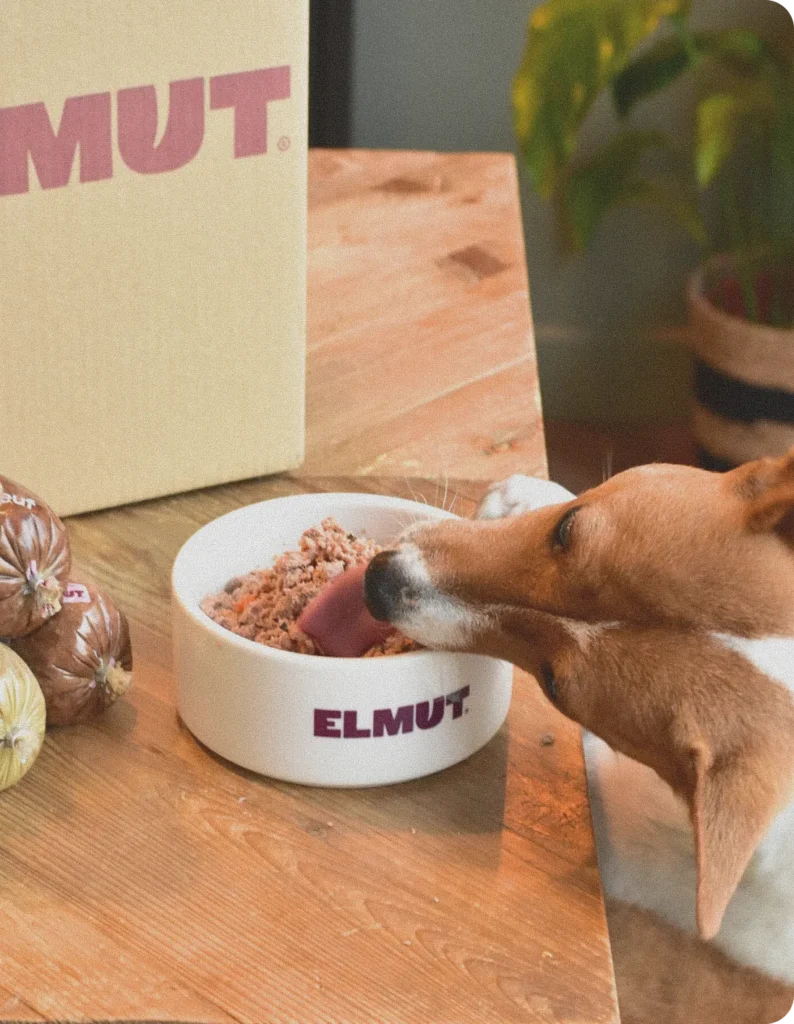 Chien qui mange un repas frais Elmut dans sa gamelle