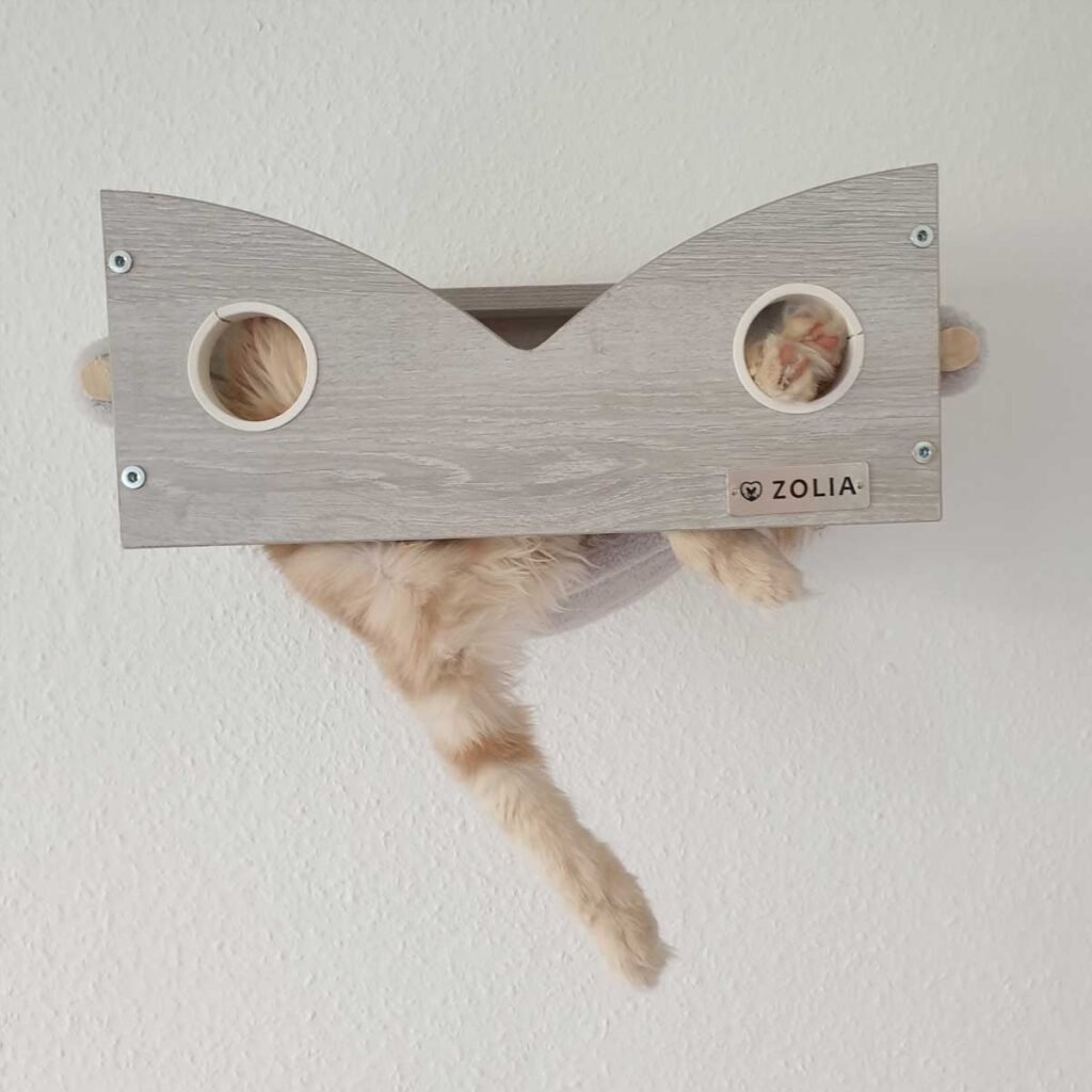 Chat roux dans la boîte cache-cache murale Zolia Hooky, la queue qui dépasse