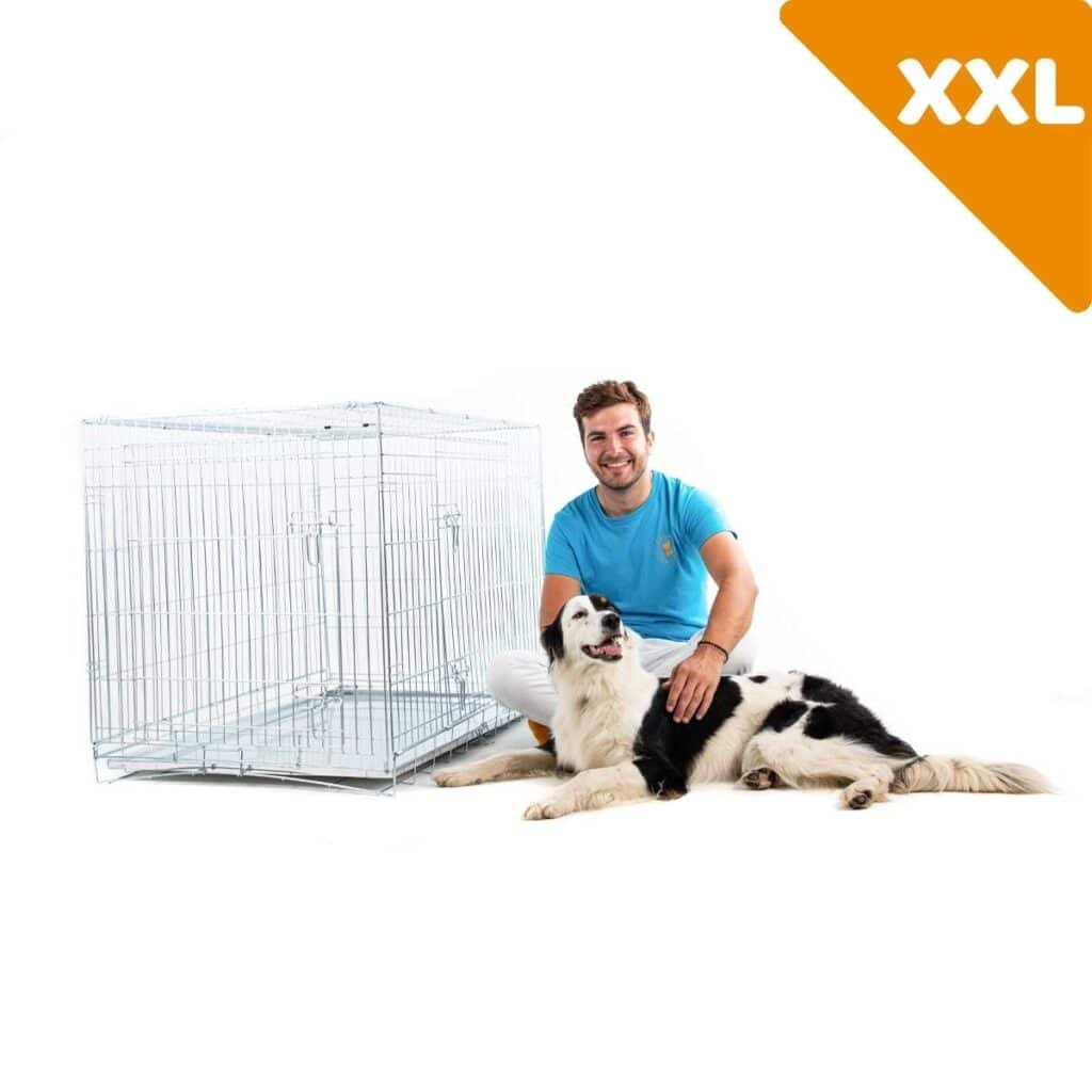 Cage Zolia Xena taille XXL à côté d'un homme et d'un grand chien