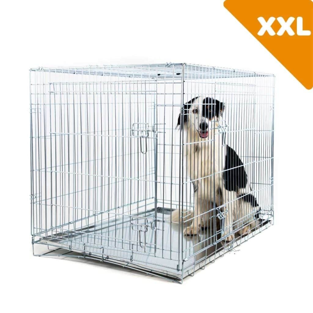 Grand chien assis dans une cage Zolia Xena taille XXL